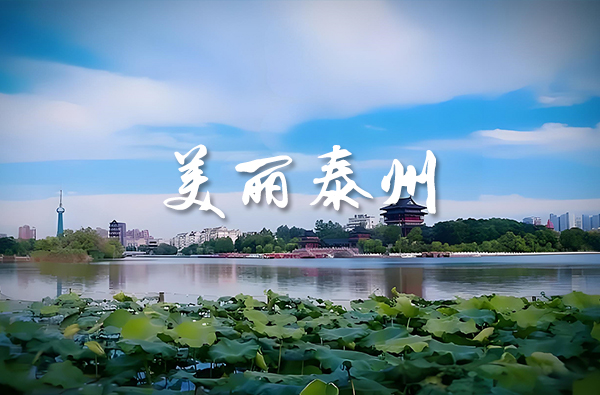泰州市政府副市長孫群談“全面推進美麗泰州建設”