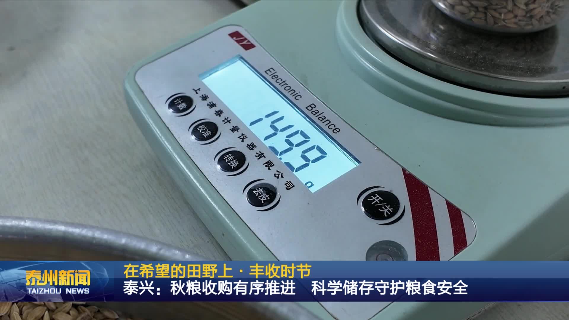 在希望的田野上·豐收時節(jié)  泰興：秋糧收購有序推進 科學(xué)儲存守護糧食安全